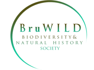 BruWILD logo