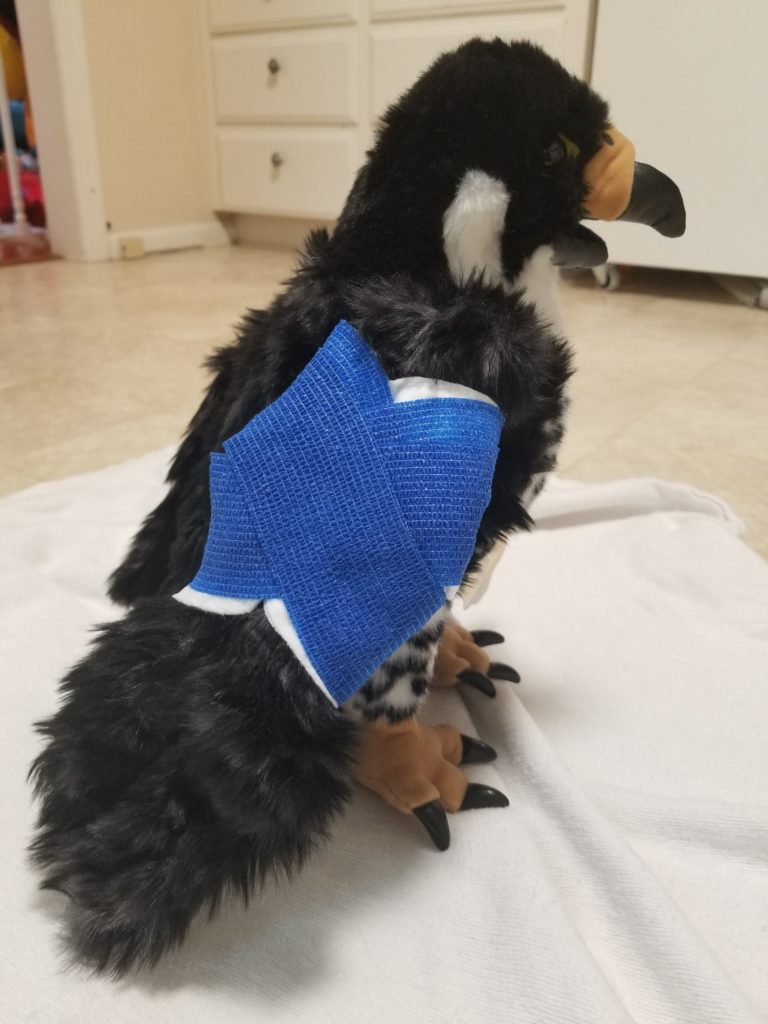 Puppet of a peregrine falcon with a figure 8 wing wrap in blue vetrap. The puppet is sitting on a towel.